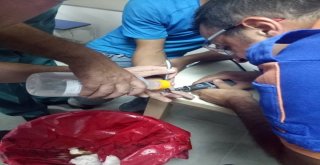 16 Yaşındaki Gence Afaddan Yüzük Operasyonu