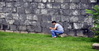 Tehlikeye Aldırış Etmeden Serinliyorlar