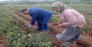 Baştuğ; “Kadın Çiftçilerimiz Ülke Kalkınmasının Lokomotifi”