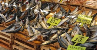 Bandırma Körfezinden Bereket Fışkırdı, Palamutun Tanesi 10 Liraya Düştü