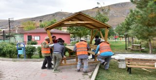 İnönü Belediyesi Parkları Kamelyalar İle Donattı