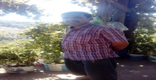 Dolandırıcılar Sınır Tanımıyor