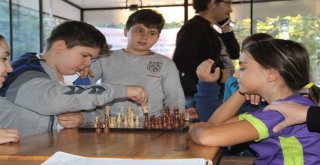 ‘Satranç Kafede Bulunmanın Ek Ücreti Yok, Tek Kural ‘Sessizlik