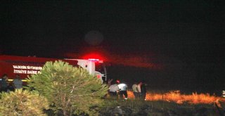 Ayvalıkta Orman Yangını