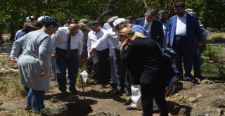 Hatayda Kayı Boyu Tamgalı Mezarlar Bulundu