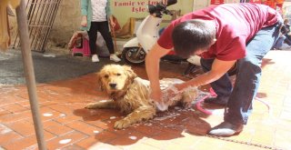 Esnaf Sıcaklara Çareyi Gölgelik Yaparak Buldu
