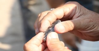 Yumuktepede 8 Bin 600 Yıllık Ok Ucu Bulundu