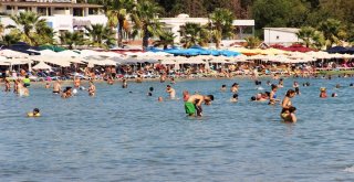 Bodruma 100 Bin Araç, 2 Milyon Tatilci Geldi