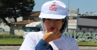 Kırmızı Düdük Uygulaması Düzcede De Başladı