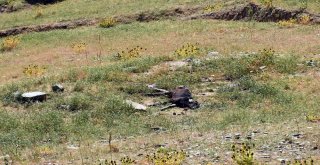 Sıcaktan Sığındıkları Kulübede Telef Oldular