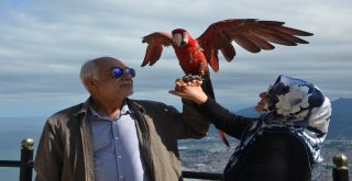 ‘Çiko Boztepenin Maskotu Oldu