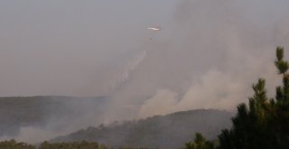 Tavşanlıdaki Orman Yangınını Söndürme Çalışmaları Sürüyor