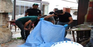 Kale Surlarından Beton Zemine Düşen Kişi Hayatını Kaybetti