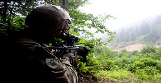 Jöperler İlk Defa Bu Kadar Yakından Görüntülendi