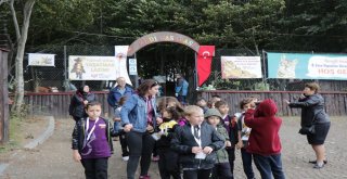 Samsundaki Kedi Kasabasında Çocuklara Hayvan Sevgisi Aşılandı