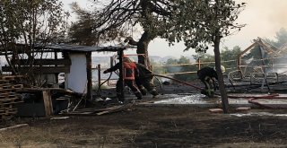 Orman Yangını Sandılar Dernek Çıktı