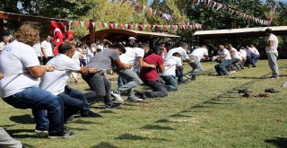 Ormana Üzüm Festivalinde Renkli Görüntüler