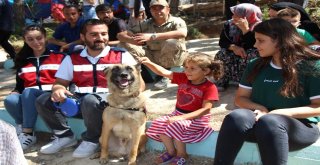 Kapaklıda Yayla Şenliği