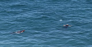 Dalgalara Kapılan Genci Arama Çalışmaları Devam Ediyor