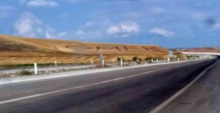 Yok Böyle Kardeş Sevgisi