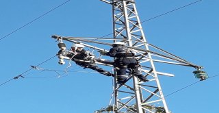 Yedaş, Salıpazarında Artan Enerji Talebini Karşılıyor