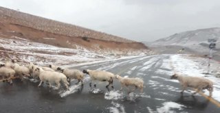 Eğribel Geçidi Dolu Yağışıyla Beyaza Büründü