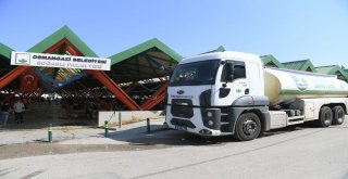 Osmangazide Hijyenik Kurban Kesimi