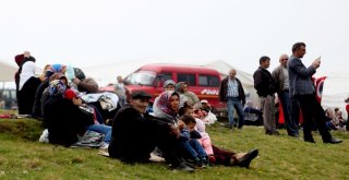 Stres Atmak İçin Giresun Yaylalarını Seçenler Şenliklerle Coşuyor