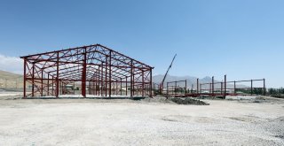 Vana 3 Milyon 740 Bin Liralık Yeni Hayvan Pazarı