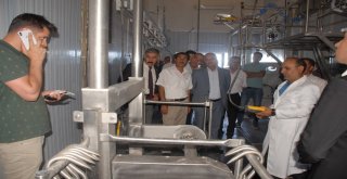 Bulanıkta Mobil Kesimhanenin Açılışı Yapıldı