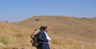 Üç İli Kapsayan Faraşin Yaylası Operasyonu Tüm Hızıyla Devam Ediyor