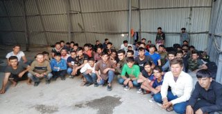 Vanda 106 Kaçak Göçmen Yakalandı