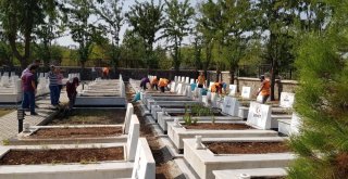 Kara Şehitliğinde Peyzaj Çalışmaları Başladı