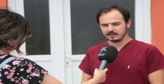 Küçükçekmecede Sokak Hayvanlarına Yem Ve Su Takviyesi