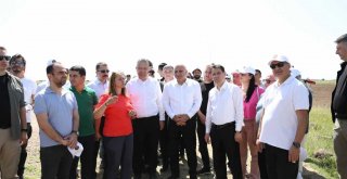 Diyarbakır Kral Yolu Rotası Turizme Kazandırıldı
