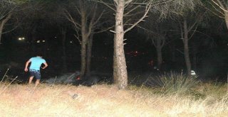 Ayvalıkta Orman Yangını