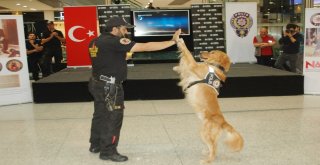 Dedektör Köpekler Halkla Buluştu