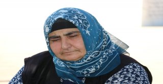 Şehit Annenin Mezarına Doğum Günü Ziyareti