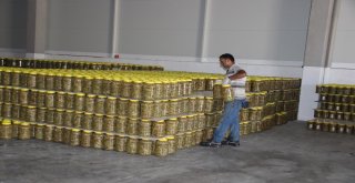 Dolar Pezik Turşusunu Da Vurdu