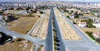 Melikgazide Sonbahar Ağaçlandırma Ve Çimlendirme Çalışmaları