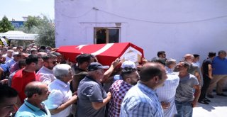 Çarptığı Köpeğe Yardım Etmek İsteyen Genç Asteğmene Hüzünlü Veda