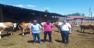 Oda Ve Borsa Başkanları Pasinlerde Toplandı