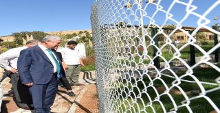 Hayvanat Bahçesinde Son Rötuşlar Yapılıyor