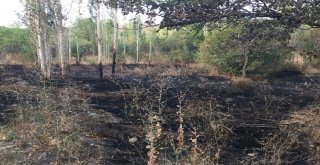 Bahçesindeki Otları Yakmak İsterken Kendini Yaktı