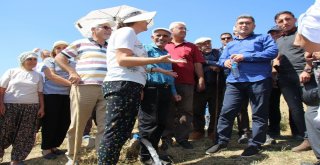 Varto Baltaş Köyünde İçme Suyu Sevinci