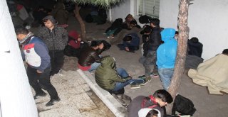 Ayvalıkta Jandarma 102 Göçmeni Faciadan Kurtardı