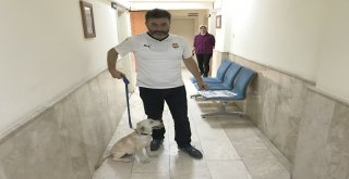 Polisin ‘Şefkati