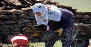 (Özel Haber) Kırsalda Tezek Geleneği