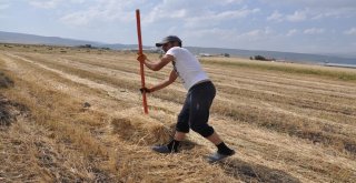 Karsta Sıcak Havada Çiftçilerin Ot Toplama Mesaisi