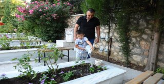 Bursada Şehitliklerde Buruk Bayram